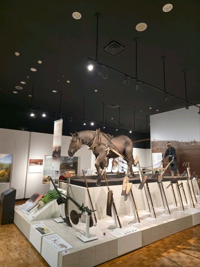 해외여행 삿포로에서 볼만한 전시 北海道博物館 해외여행 삿포로에서 볼만한 전시 北海道博物館