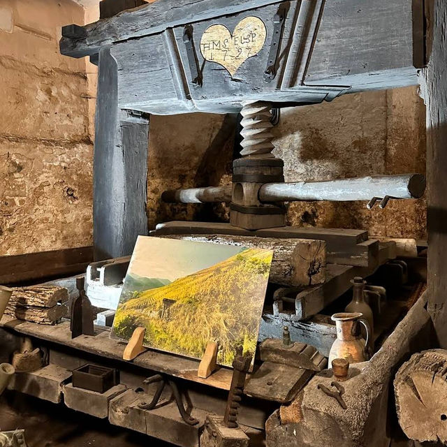 Cave Historique des Hospices de Strasbourg – A Timeless Cellar Beneath the City