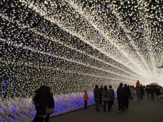 名花之裡是三重縣著名的花卉園，以其壯麗的冬季夜間彩燈而聞名。然而，秋季的落葉也同樣令人嘆為觀止。整個公園被楓樹和銀杏樹的紅色、橙色和黃色的葉子點綴，反射著午後的陽光，營造出溫馨浪漫的氛圍。遊客可以漫步在花園中，欣賞倒映著鮮豔落葉的池塘，並從錯綜複雜的角度拍照。

傍晚時分，花園的燈光開始閃耀，為秋葉增添了一抹童話般的美感。亮點包括燈光隧道和鏡湖，它們將秋日的色彩和光線完美地映照在一起。園內還有餐廳、咖啡館和當地紀念品商店，使名花之裡成為尋求浪漫秋葉和絢麗彩燈的旅客的夢想之地。

#traveljapan #japantrip #nabananosato ##getdiscountswithoutluck