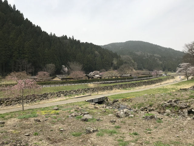 【福井・一乗谷朝倉氏遺跡🏯】戦国ロマンが息づく“日本のポンペイ”へ