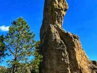🏞️ Custer State Park – The Wild Heart of South Dakota