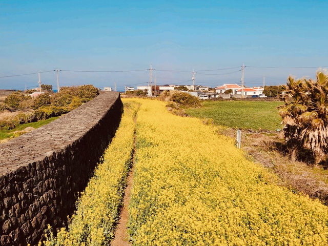 A Peaceful and Accessible Stroll