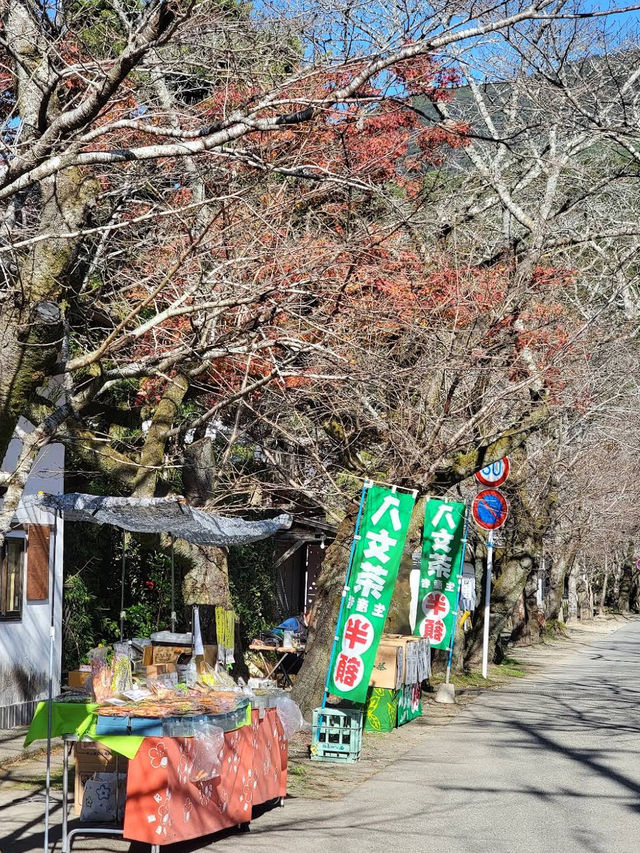 🌸🏯 Whispering Walls of Akizuki Castle Ruins 🍂🌿
