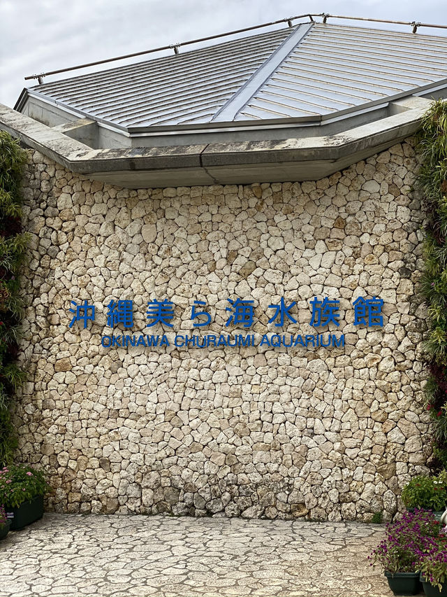 【沖縄旅行】世界的に有名な美海水族館🐡一度は行くべき! 【沖縄旅行】世界的に有名な美海水族館🐡一度は行くべき!