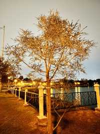 Evening Serenity at Cyberjaya Lakeside
