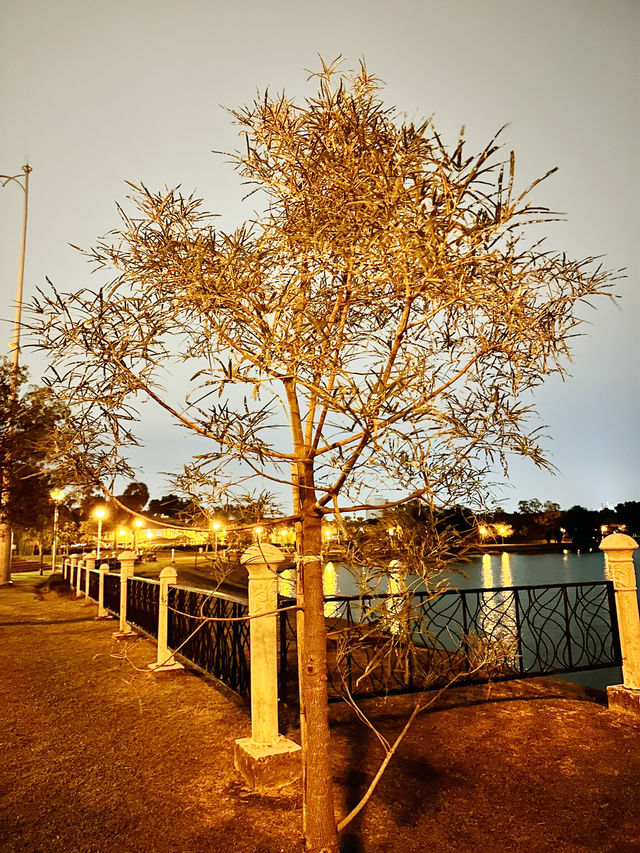 Evening Serenity at Cyberjaya Lakeside