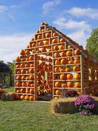 🎃 南瓜屋與游隼之家