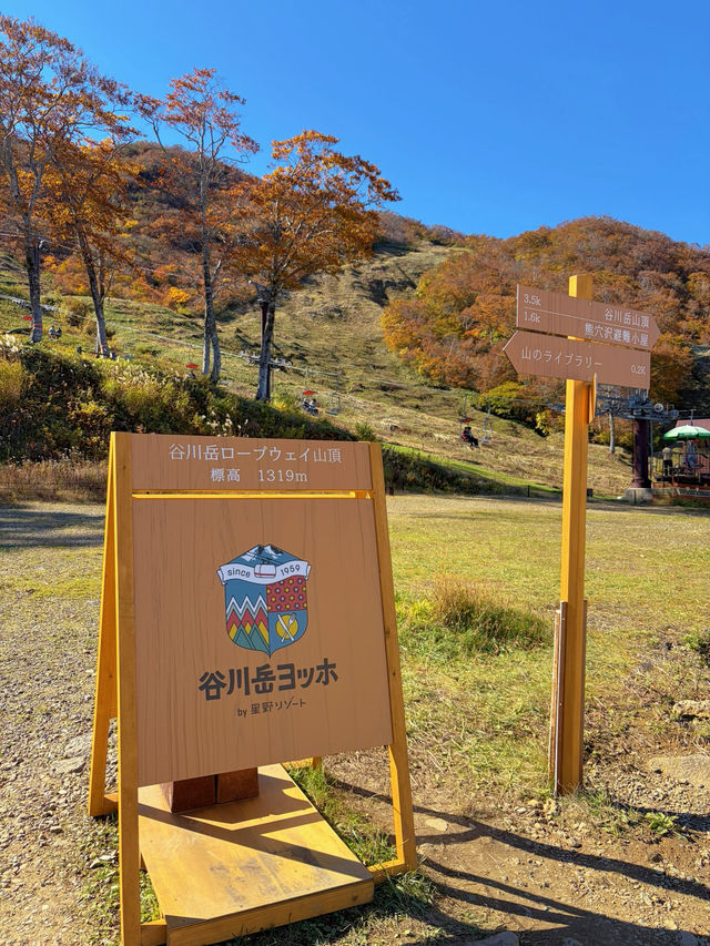 【群馬】今行くべき!!奇跡の絶景