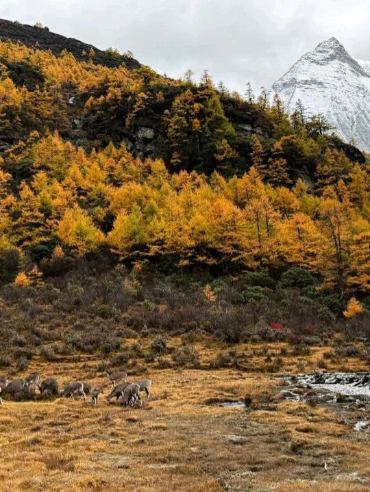 nature reserve