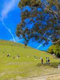 ชมพระอาทิตย์ตกที่ Mount Wakakusa Nara