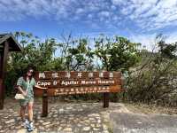 Sunny Arch Escape🌞