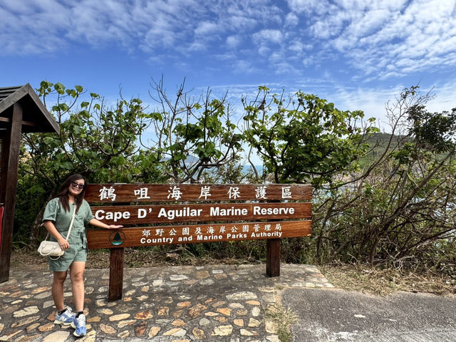 Sunny Arch Escape🌞