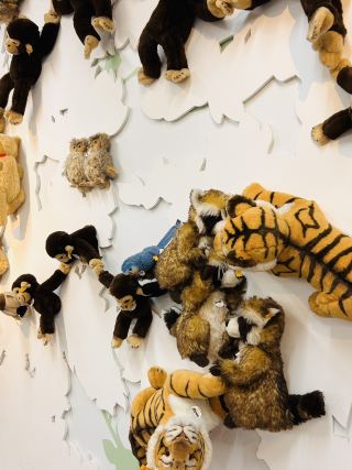 Чудо-место в аэропорту Син-Титосе