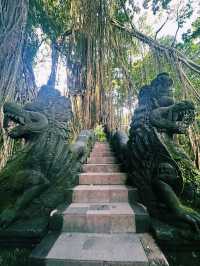 Mystical Paths of Ubud Monkey Forest 🌿🐒