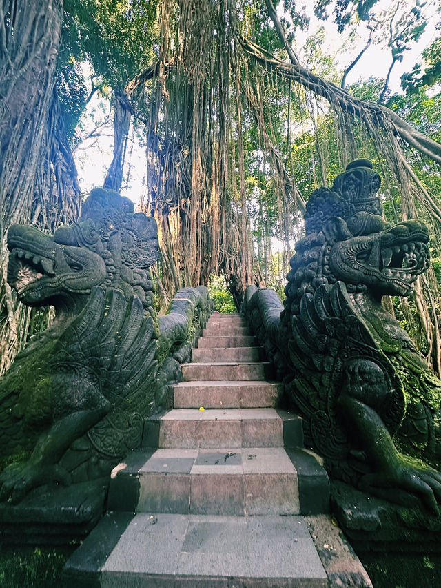 Mystical Paths of Ubud Monkey Forest 🌿🐒