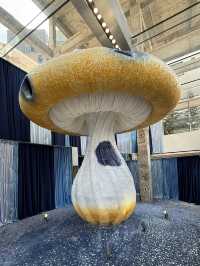 Seongsu — the heart of Seoul’s style ❤️