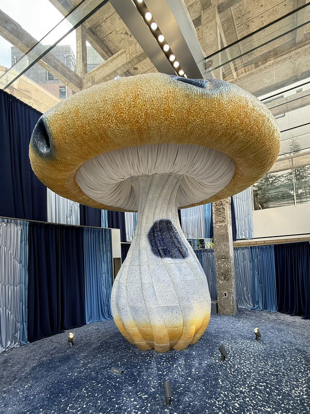 Seongsu — the heart of Seoul’s style ❤️