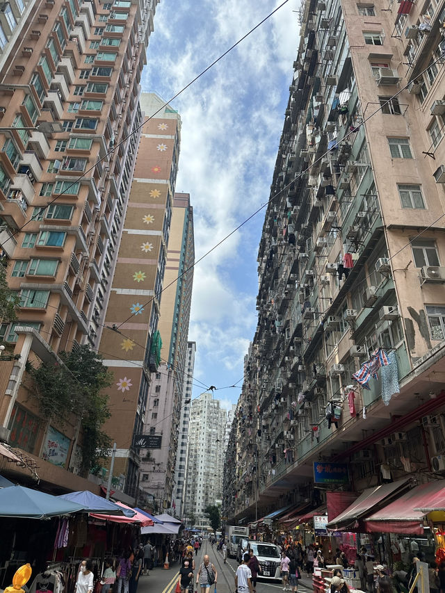 Hong Kong: Where Neon Dreams Meet Tradition 🇭🇰✨ Hong Kong: Where Neon Dreams Meet Tradition 🇭🇰✨