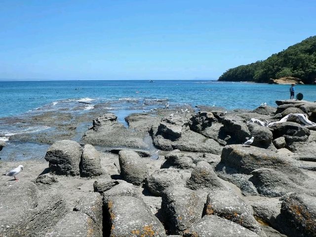 Underwater Playground For Curious Explorers