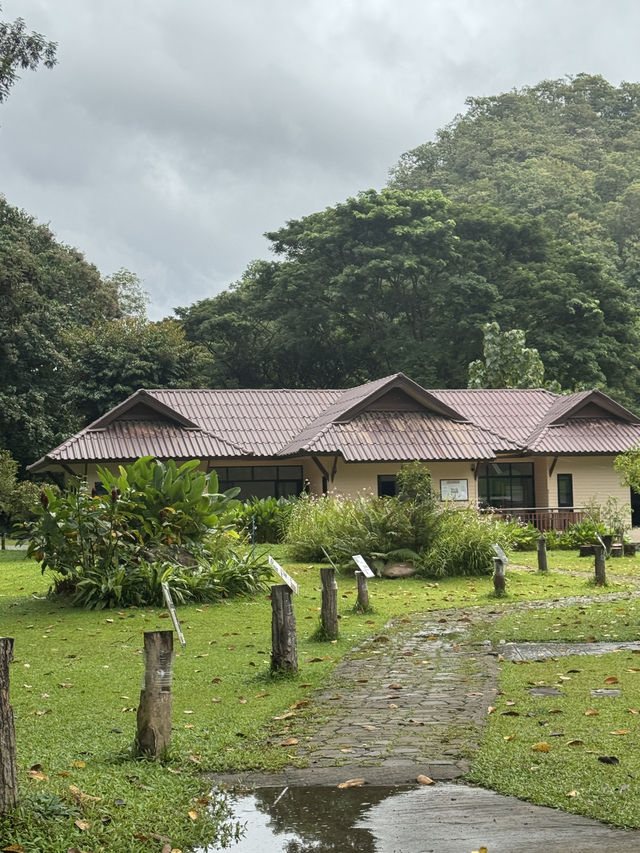 อุทยานแม่ตะไคร้ — สูดอากาศบริสุทธิ์พร้อมเพื่อนขนฟู อุทยานแม่ตะไคร้ — สูดอากาศบริสุทธิ์พร้อมเพื่อนขนฟู