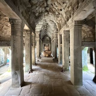 Ta Prohm 寺廟 ប្រាសាទ តាព្រហ្ម
