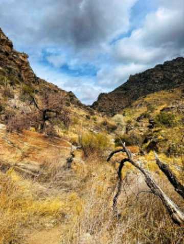 🌄 Ventana Canyon – Tucson’s Scenic Desert Escape🌿