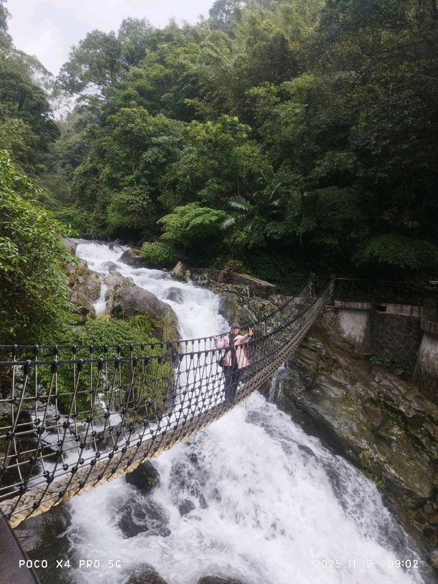 草山觀瀑吊橋：身臨瀑布的療癒秘境