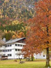 🏞️평화롭고 목가적인 풍경의 자연 명승지 할슈타트 여행가이드💚