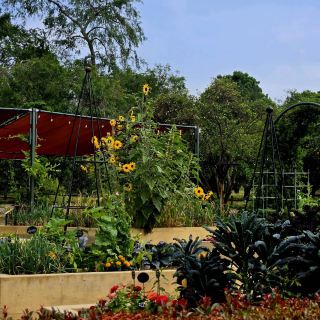 The Huntington Library, Art Museum, and Botanical Gardens