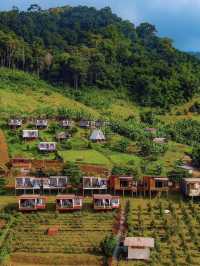 ผาปู่จอม แม่แตง เเชียงใหม