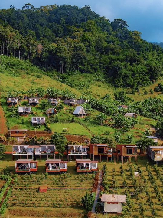 ผาปู่จอม แม่แตง เเชียงใหม ผาปู่จอม แม่แตง เเชียงใหม