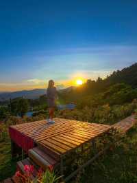 ผาปู่จอม แม่แตง เเชียงใหม