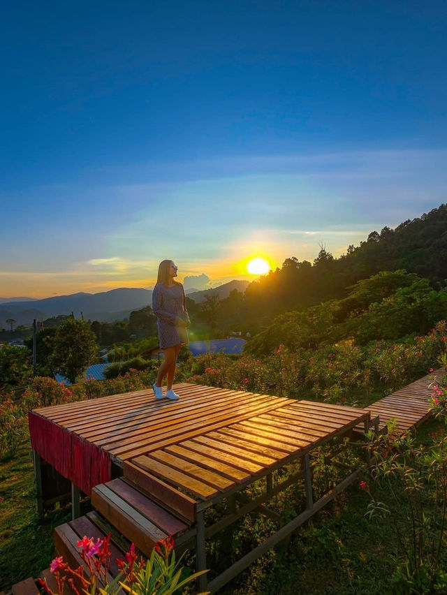 ผาปู่จอม แม่แตง เเชียงใหม ผาปู่จอม แม่แตง เเชียงใหม