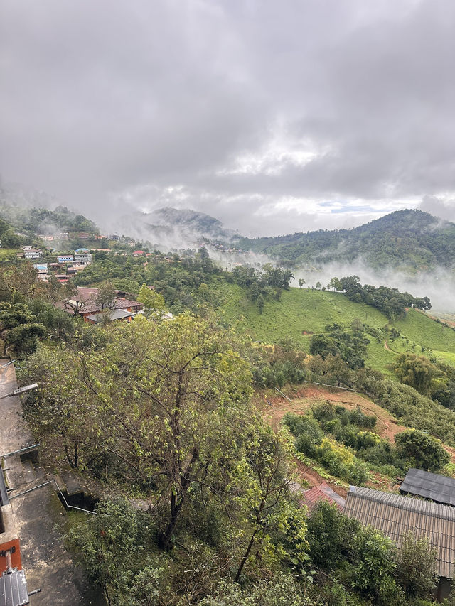 เที่ยวดอยแม่สองเชียงรายกันคะ