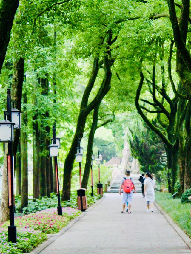 Shanghai: Zuibaichi Park Views🌿🪷 Shanghai: Zuibaichi Park Views🌿🪷