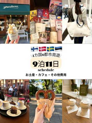 [Nordic Travel 🇫🇮🇩🇰🇸🇪🇪🇪] Summary of Souvenirs, Cafes, and Other Expenses