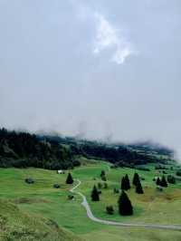 Swiss Alpine Escape🚲