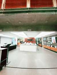 Northern Lights Find🌌