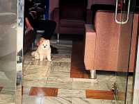 Hengchun Xmas Joy & Souvenir Hunt in Old Streets