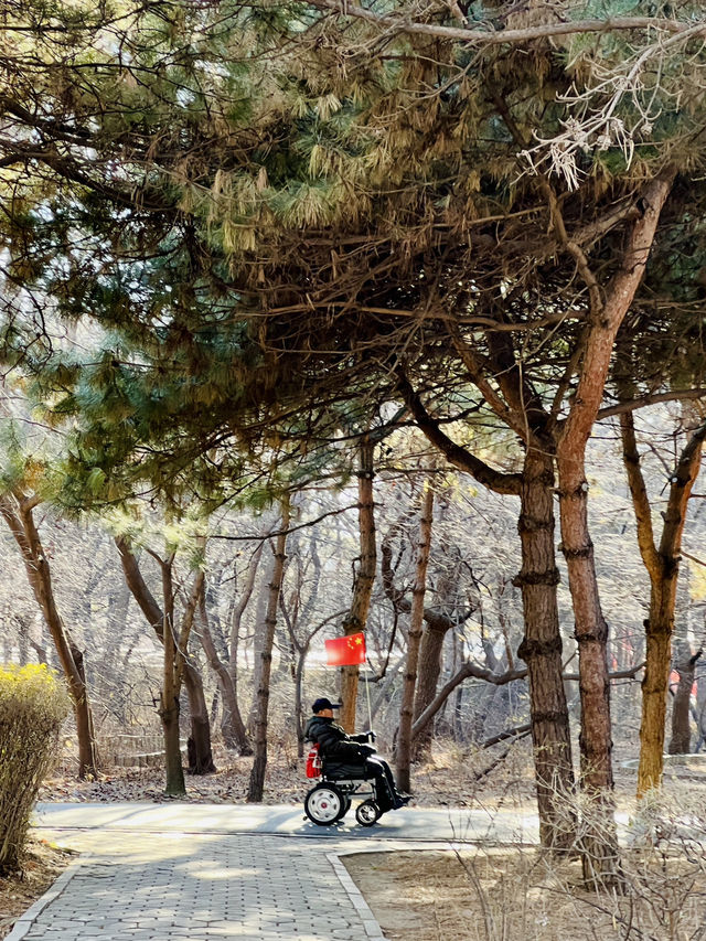 🇨🇳 선양 시민들의 휴식처 북릉공원 🇨🇳 선양 시민들의 휴식처 북릉공원