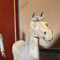 Forbidden City Glow✨