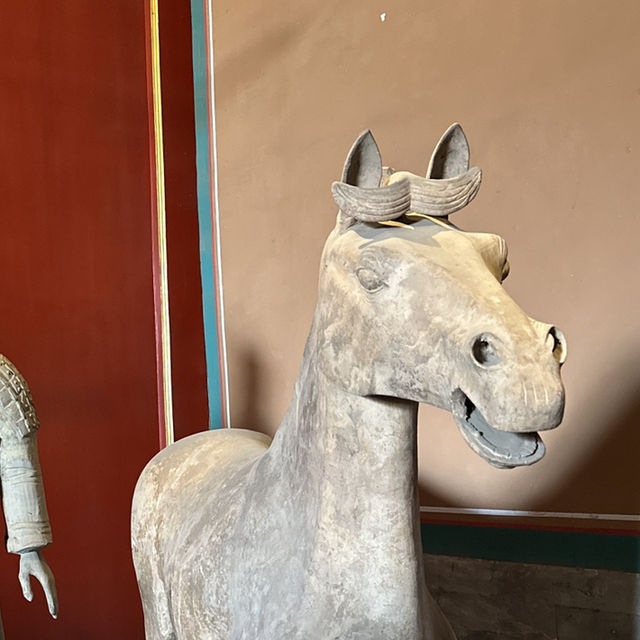 Forbidden City Glow✨