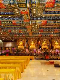 A Quiet Giant on Lantau Island