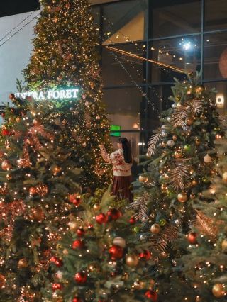 (Live) Christmas Forest in Cheongju🎄❤️