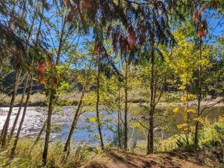 If you're still undecided about where to experience nature's healing power this fall, the Cowichan Valley in British Columbia, Canada, is definitely worth adding to your "trip list"! This time, I chose Cowichan River Campground for a hiking adventure into nature, feeling like stepping into a fairytale forest: sunlight filters through golden leaves, and the ground is carpeted with Cypress leaves; every step feels like being surrounded by nature—the perfect way to kick off October.

Autumn Forest Walk, Pure Moments Along the Cowichan River

Located near Duncan, the Cowichan River is a renowned outdoor recreation destination in British Columbia. Cowichan River Campground serves as a base, making it easy to embark on a riverside hiking trail. Whether you're an adventure enthusiast or simply looking to escape the city's hustle and bustle for a weekend, you'll be deeply healed by the forest scenery and tranquil atmosphere.

Recommended Route

1. Cowichan River Riverside Trail

Start from the campground! The riverside trail is lined with tall trees, a symphony of autumn colors. On sunny days, sunlight filters through the forest, casting ever-changing shadows. Fallen leaves carpet the paths, offering opportunities to spot ducks, eagles, and various wild birds—perfect backdrops for photos.

2. Forest Breathing Area: A short walk from the campsite leads to a sprawling forest where you can stop and enjoy a "forest bath." Especially in autumn, the cool, pleasant temperature and the air, filled with moisture and the fragrance of earth, make you want to stroll slowly and breathe deeply.

3. River Viewpoints: Several small viewpoints are located along the Cowichan River.