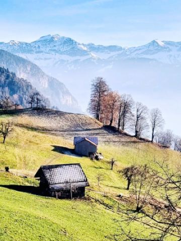 อูร์เนอร์ซี