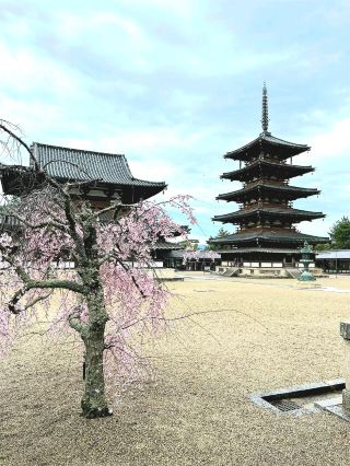 静かなのに圧倒された…法隆寺は想像以上に特別だった