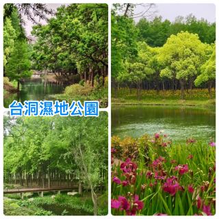 封開靜謐濕地公園散步日常  