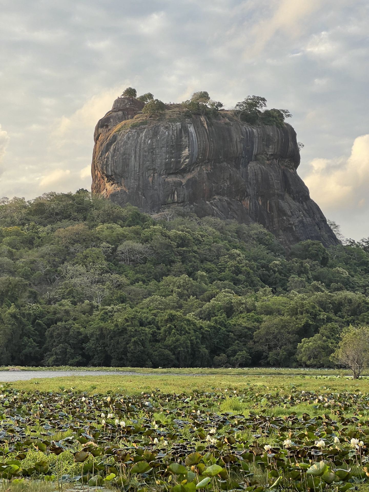 🦁 Lion Rock from Every Angle 🇱🇰 — Sigiriya’s Most Epic View!