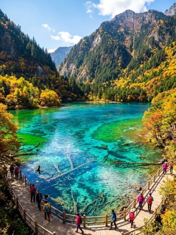 Jiuzhaigou - một kỳ quan thiên nhiên tuyệt vời, nơi thác nước, hồ nước và rừng tre cùng tồn tại hoàn hảo, mỗi điểm tham quan đều để lại ấn tượng khó quên. Lần này, chúng tôi tập trung giới thiệu ba điểm chụp ảnh chính: Hồ Wucai, Hồ Changhai và Biển Tre.

🗓️ Lộ trình gợi ý:
Nên đến cổng vào Khu thắng cảnh Jiuzhaigou trước 9 giờ sáng, mua vé và xếp hàng chờ xe tham quan đi thẳng đến Hồ Changhai. Hồ Changhai là hồ lớn nhất và sâu nhất ở Jiuzhaigou. Mặt hồ phẳng lặng như gương, được bao quanh bởi núi non, không khí trong lành. Đây là địa điểm lý tưởng để chụp ảnh vào buổi sáng.

Sau đó, đi bộ dọc theo đường mòn đến Hồ Wucai (địa chỉ Hồ Wucai: nằm trong Khu thắng cảnh Jiuzhaigou, thị trấn Zhangza, huyện Jiuzhaigou, Khu tự trị dân tộc Tạng và Khương Aba, cùng giờ mở cửa), nên dành khoảng nửa tiếng để tham quan yên tĩnh. Mặc dù diện tích của hồ nước nhiều màu sắc không lớn, nhưng nước lại vô cùng rực rỡ, với các sắc xanh lam, xanh lục, vàng và nhiều màu khác, càng thêm lung linh dưới ánh nắng mặt trời, tạo nên hiệu ứng chụp ảnh tuyệt vời. Có nhiều đài quan sát ở ven hồ, góc nhìn đẹp nhất là từ trên cao bao quát toàn bộ hồ, góc nắng đẹp nhất là hướng Tây.

Cuối cùng, hãy đến với biển tre, len lỏi giữa những khu rừng tre xanh mướt, và cảm nhận sự yên bình của thiên nhiên. Đường mòn biển tre không khó đi và phù hợp cho các gia đình đi dã ngoại, ngay cả khi bạn không phải là người leo núi giỏi. Trên đường đi có những khu rừng tre rộng lớn và những thác nước nhỏ, vì vậy nên đi bộ chậm rãi và tận hưởng không khí trong lành của rừng xanh.

💫Những địa điểm check-in không thể bỏ lỡ:
· Đài quan sát Hồ Trường Hải: Sáng sớm hoặc chiều tối, hiệu ứng phản chiếu của mặt hồ đẹp nhất
· Đài quan sát Hồ Màu: Chụp ảnh toàn cảnh các tầng màu của Hồ Màu
· Đường mòn Sâu trong Biển Tre: Biển tre rộng lớn + ánh sáng dịu nhẹ, chụp ảnh theo phong cách tươi mới và tự nhiên

⏰ Mẹo du lịch:
1. Cửu Trại Câu là vùng cao nguyên, chênh lệch nhiệt độ giữa sáng và tối khá lớn, nhớ mang theo áo khoác nhẹ hoặc quần áo chống gió
2. Đồ ăn tự nấu và đồ ăn chế biến sẵn bị cấm trong khu thắng cảnh. Không có nhiều lựa chọn nhà hàng trong công viên. Nên mang theo một ít thanh năng lượng và nước khoáng.
3. Vui lòng đặt vé trước, mùa cao điểm (tháng 4-tháng 10) rất đông khách, nên khởi hành càng sớm càng tốt để tránh đám đông.
4. Xe tham quan có các điểm dừng cố định, vui lòng chú ý đến thời gian quay trở lại. Khoảng cách từ Trường Hải đến Hồ Vô Cực xa hơn so với lối ra, hãy lên kế hoạch thời gian lưu lại ở mỗi điểm dừng.
5. Đường mòn Biển Tre thoải mái hơn, nhưng đường mòn Trường Hải và Hồ Vô Cực có nhiều đường đồi núi, khi lên xuống dốc cần chú ý chọn giày chống trơn trượt.

Tuyến đường cổ điển này ở Cửu Trại Câu có ba cảnh đẹp nối tiếp nhau, toàn bộ hành trình khoảng 3-4 giờ, đừng vội vàng để tận hưởng cảnh đẹp. Toàn bộ trải nghiệm thực sự rất sảng khoái và tôi chắc chắn khuyên bạn nên chụp ảnh, bất kể thời tiết nắng hay mây đều có hiệu ứng lọc tự nhiên.

Chủ đề: #Tuyến đường nhất định phải đến ở Cửu Trại Câu #Chụp ảnh hồ nước nhiều màu sắc #Vẻ đẹp tự nhiên Trường Hải #Tắm rừng tre #Du lịch Tứ Xuyên